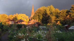 Sunset at the allotments Oct 13 2013
